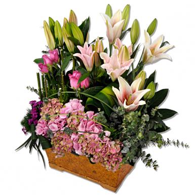 Unnata - Flower Gift For Deepavali