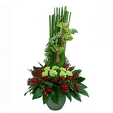 Senora - Flower Gift For Deepavali