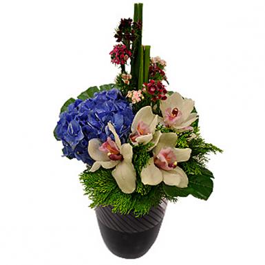 Love Triumph - Deepavali Flower Gift