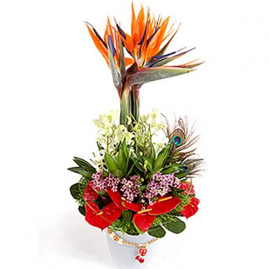 Pragati - Deepavali Flower Gift