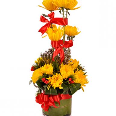 Dendra Blessing - Chinese New Year Flower