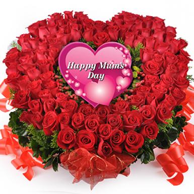 Mom's Love 99 Roses Flowers