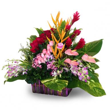 Flora Watten - Flowers in basket for Christmas