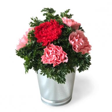 Dainty Carnations - Flowers for Mom