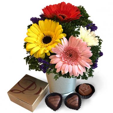 Sweet Daisy with Decadence Chocolate - Holland Gerberas Flower