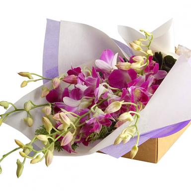 Orchid Affairs - Cut Orchid Hand Bouquet