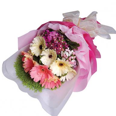 Gerby Derby - Gerberas Daisies Flower Hand Bouquet