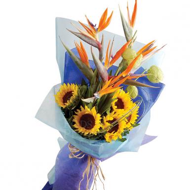 Paradise - Sunflowers with Bird of Paradise Hand Bouquet