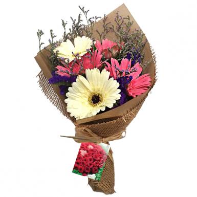 Merry Daisy - Holland Gerberas Hand Bouquet