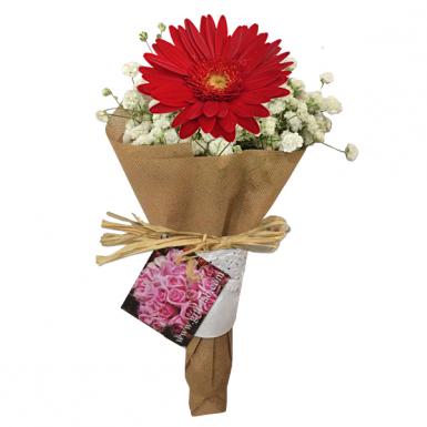 Sola Gerbera Red - Beautiful Gerberas Flower Hand Posy