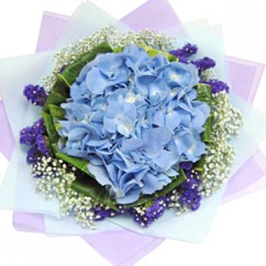 Solely Hydrangea - Hand Bouquet Flower