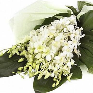 SINCERELY ORCHIDS - WHITE ORCHID BOUQUET
