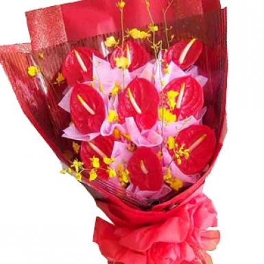 ODE ANTHURIUM - BOUQUET