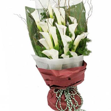 MARVELLA - LONG STEMMED CALLA LILIES