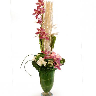 PENAKE RAYA - CYMBIDIUM ORCHIDS FLOWER