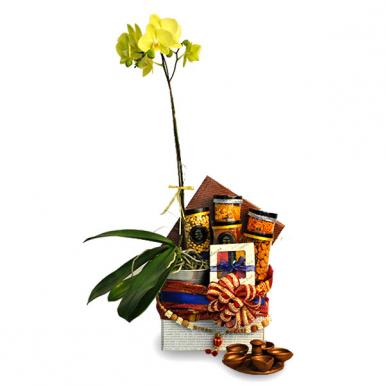 Tarnip Vegan Diwali Hamper w Phalaenopsis Orchid - Vegetarian Deepavali