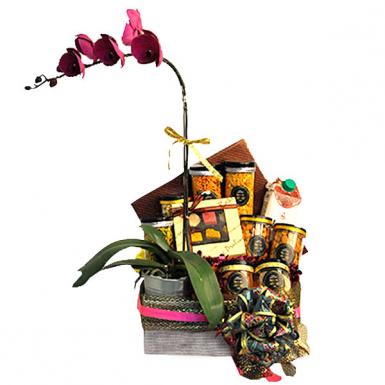 Valai Vegan Diwali Hamper w Phalaenopsis Orchid