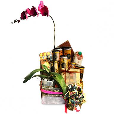 Pakti Diwali Hamper w Phalaenopsis Orchid - Deepavali