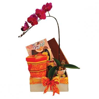 Lasting Fortune - Phalaenopsis Orchid Oriental CNY Hamper