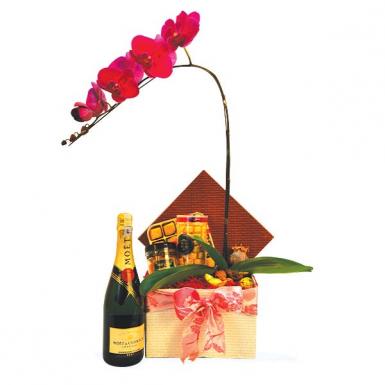 Treasure Heap - Phalaenopsis w Moet Chandon Champagne, Godiva