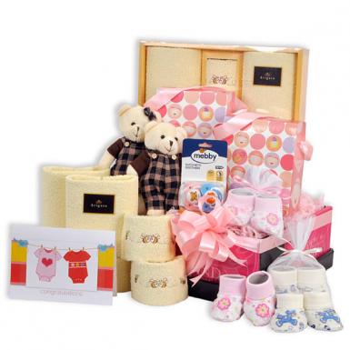 Twins - Double Joy Girl - Twin Baby Shower Gift Hamper