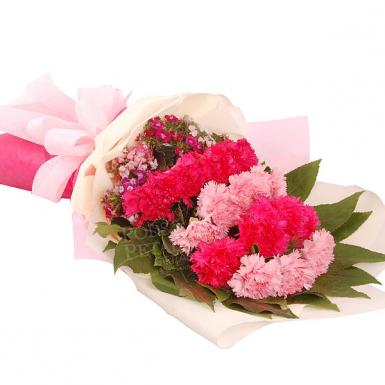 Demetrius Carnations - Hand Bouquet