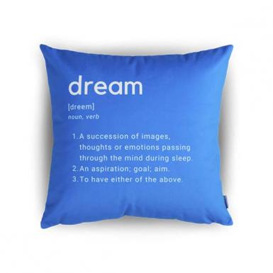 Dream Inspiration - Bear & Orion Definition Pillow Gift