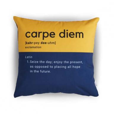 Carpe Diem - Definition Pillow Bear & Orion Inspiring Gift