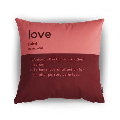Love - Inspiration Bear & Orion Definition Pillow Gift