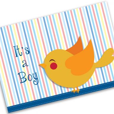 Birdy Boy Baby Card