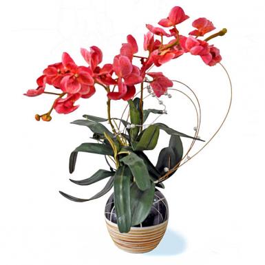 Usaily Phalaenopsis Arti Orchid - Artificial Flower Potted Gift