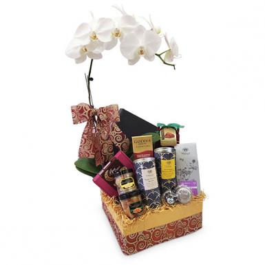 Sadik Raya Hamper with Live Phalaenopsis Orchid - Whittard Tea, Biscuits, Coffee