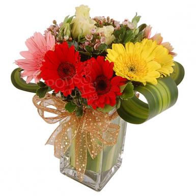 Blushing Colors - Holland Daisies Vase Flower Bouquet