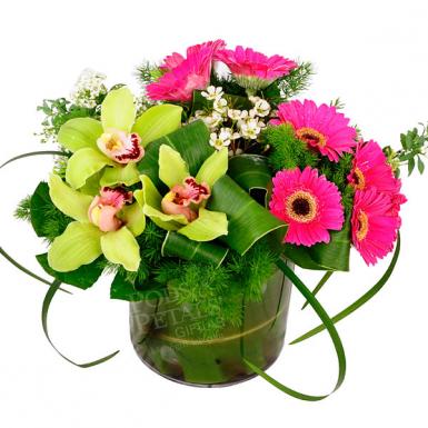 Glorious Cymbidia - Flower Vase Bouquet