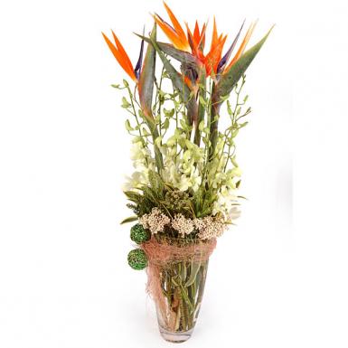 Ode Paradise - Fresh Flower Vase Bouquet