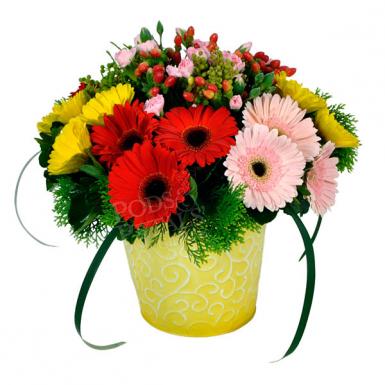 Colorful Fanfare - Gerberas Flowers