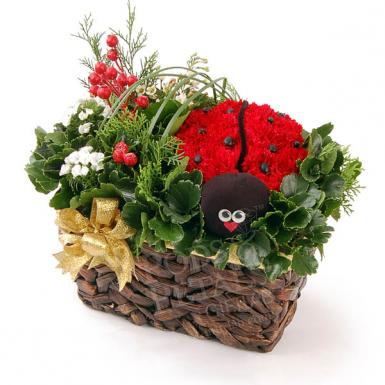 LADY MOM - CARNATION FLOWER BASKET