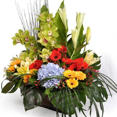 Flora Asirvada - Cymbidiums, Lilies, Gerberas & Hydrangeas