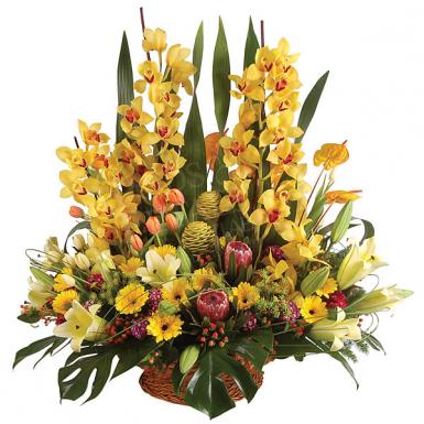 Flora Quinsy - Flower Basket Arrangement