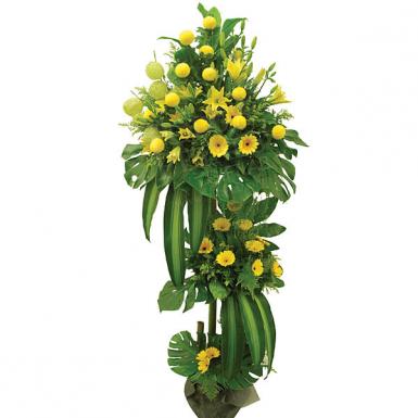 Sunny Viva - Congratulatory Flower Opening Stand