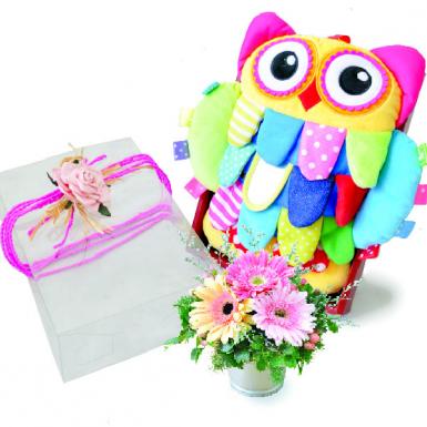 Baby Woodsy Owl - Soft Baby Developmental Owl Plushies with Gerberas Baby Shower Gift