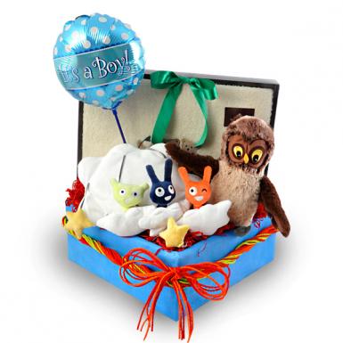 Growing Burberri - Baby Shower Gift Hamper