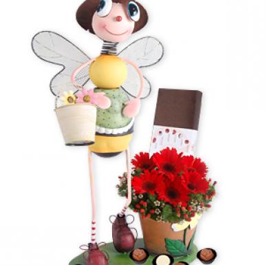 Beatrix Praline - Belgian Chocolate with Gerberas Flowers in Garden Planter Pot Gift