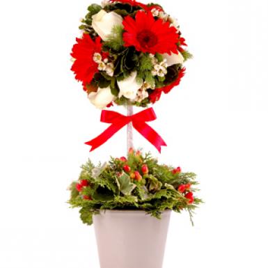 English Topiary - Christmas Flowers