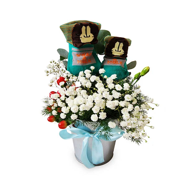 Baby Footy baby boy socks gift with fresh Baby's Breath flowers for newborn baby congratulations.